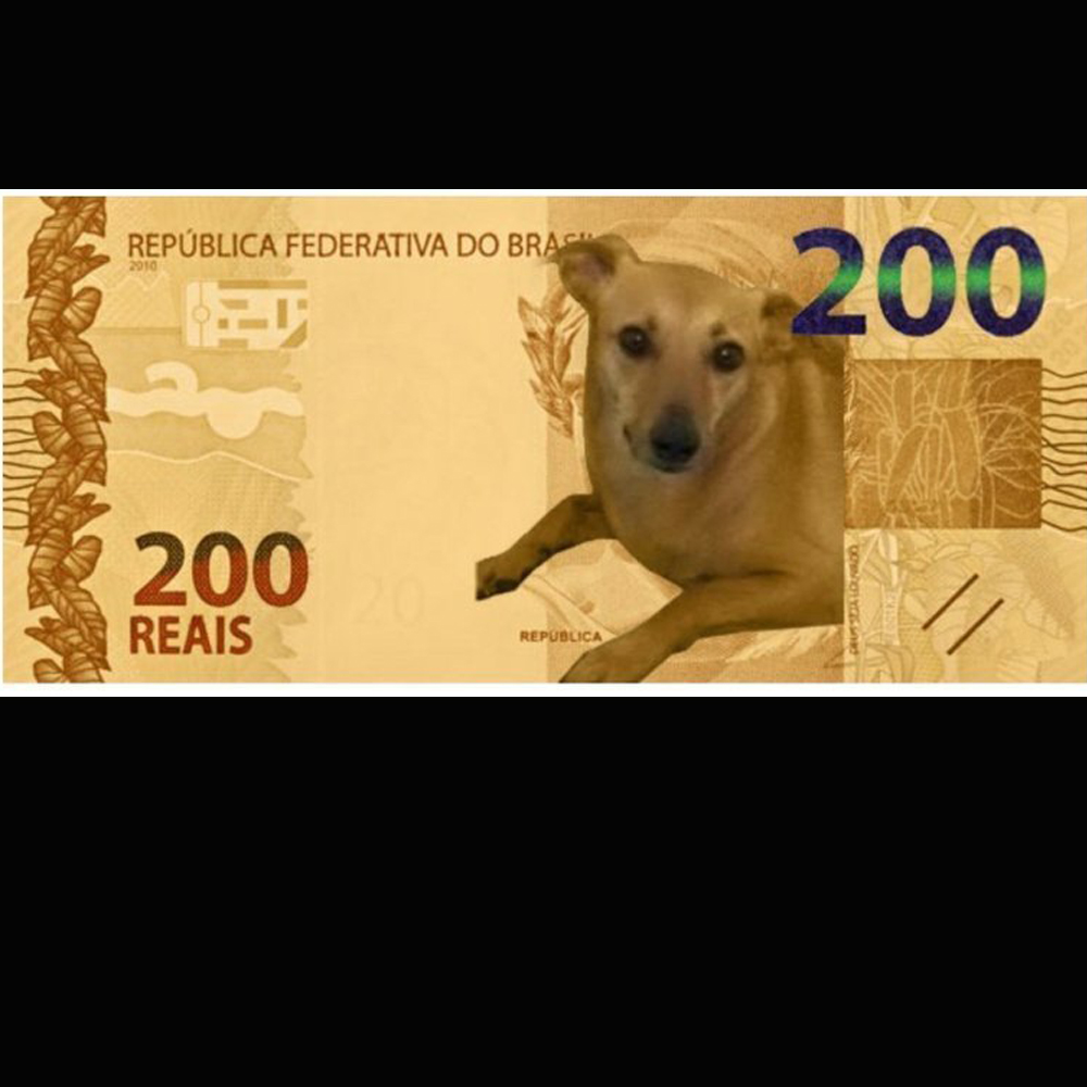 Vira-lata caramelo: BC analisa petição que pede cão na nota de R$ 200