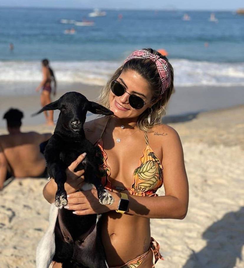 Conheça Rebeca, a ‘ovelhinha vegana’ que passeia pela Zona Sul com o dono