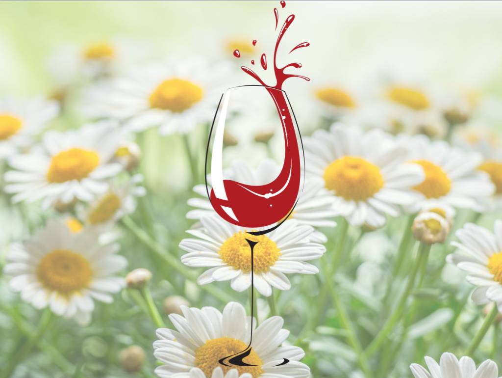 Primavera, renovação e vinhos com custo-benefício para a estação