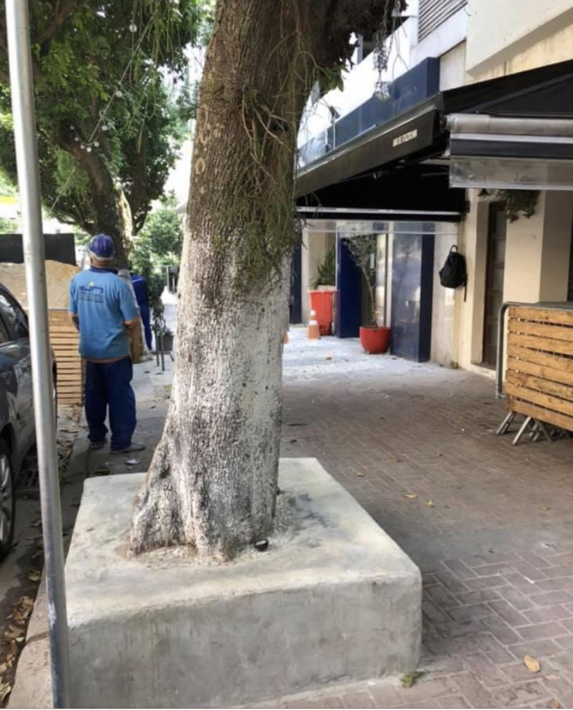 Sabe a última da Dias Ferreira? Árvore estrangulada e condenada à morte