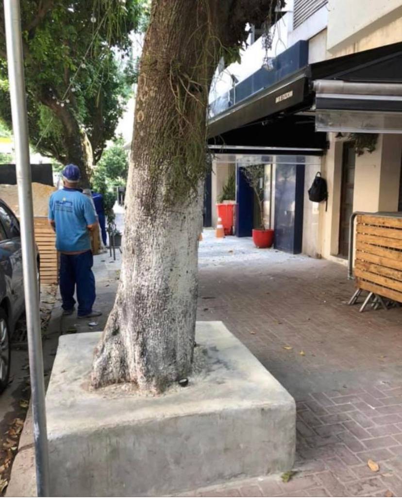 Sabe a última da Dias Ferreira? Árvore estrangulada e condenada à morte