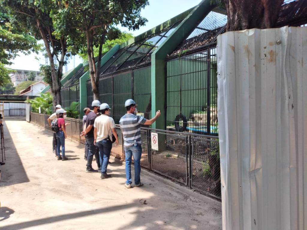 Animais do zoo convivem com barulho e poeira de obras