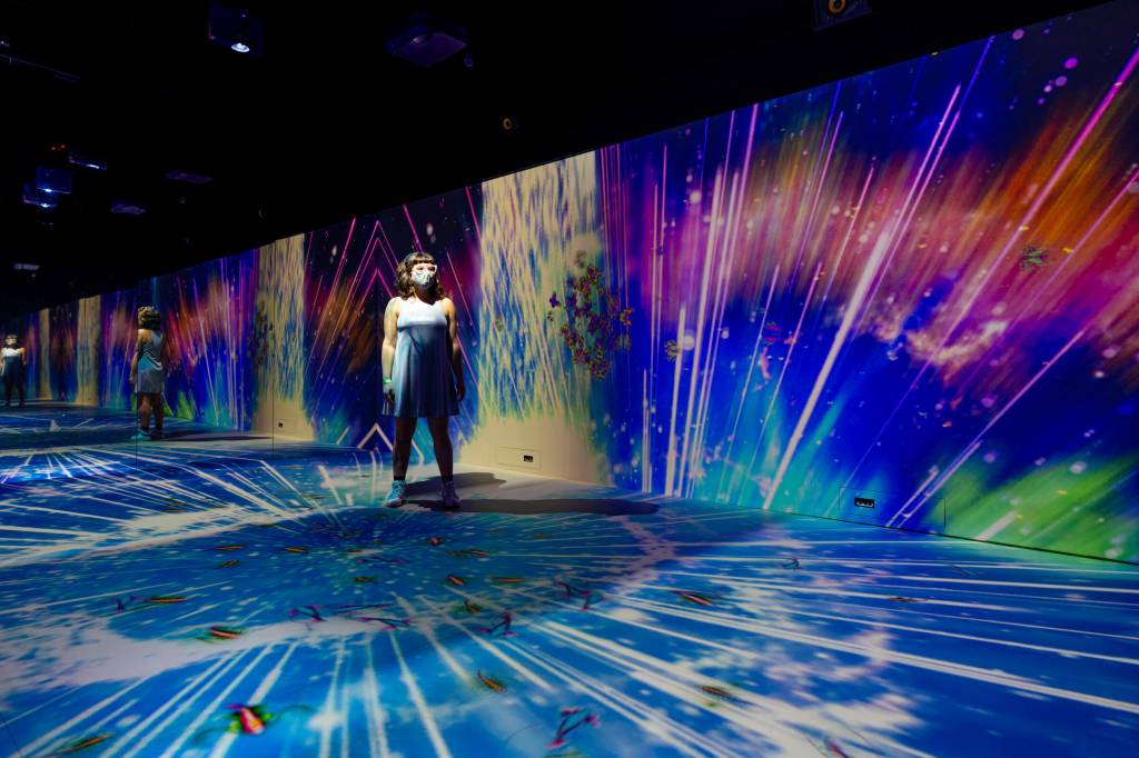 Veja Rio Recomenda: imersão, show de Jorge Aragão e teatro on-line