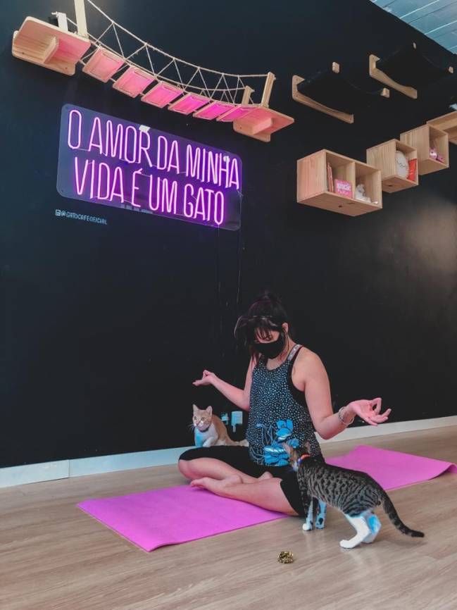 ioga com felinos ioga com felinos