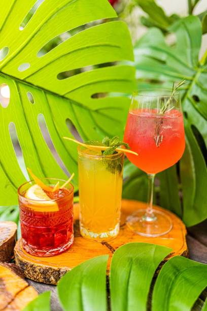 Bosque Bar: drinques Bosque Bar: drinques