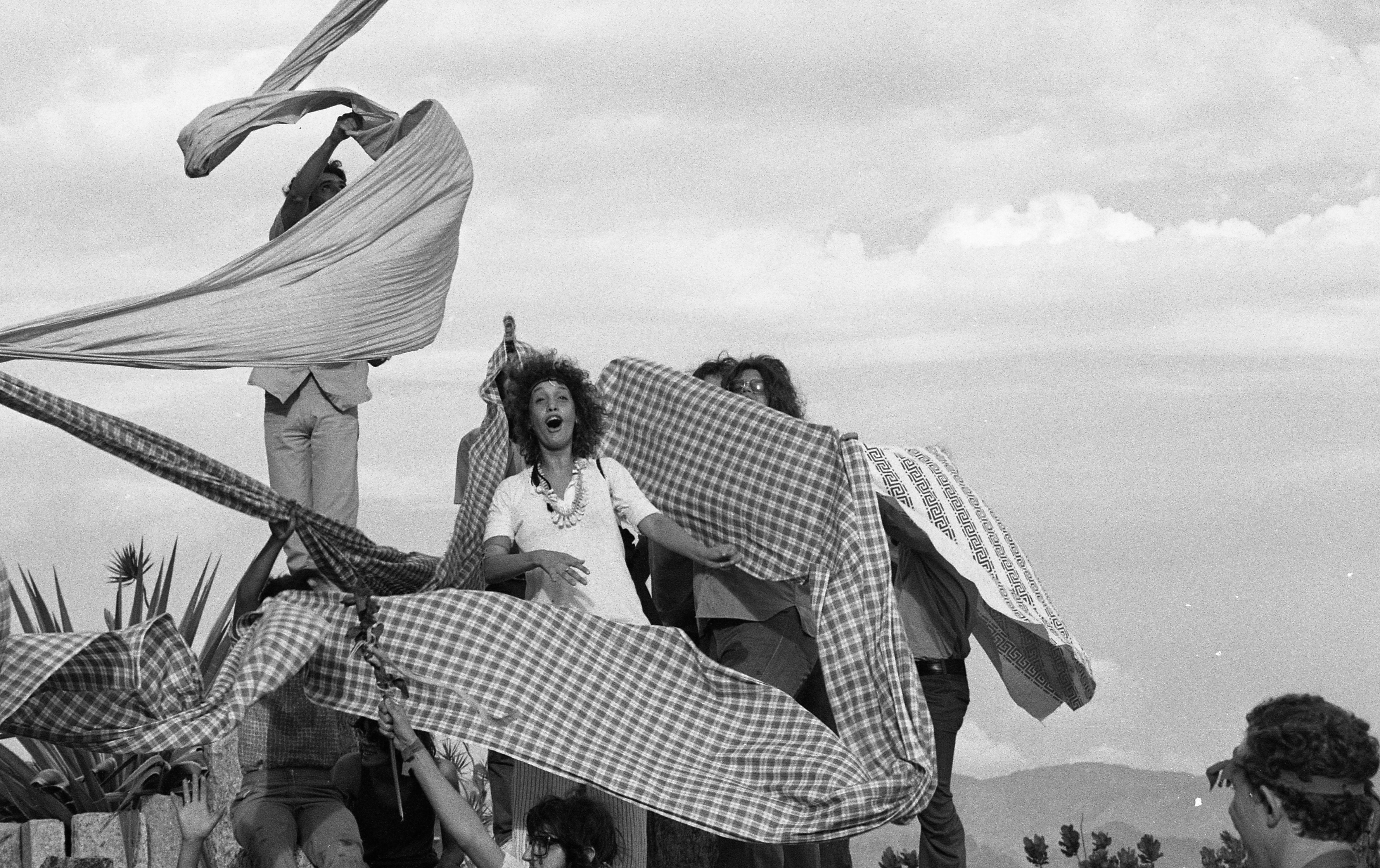 DOMINGOS DA CRIAÇAO tecido