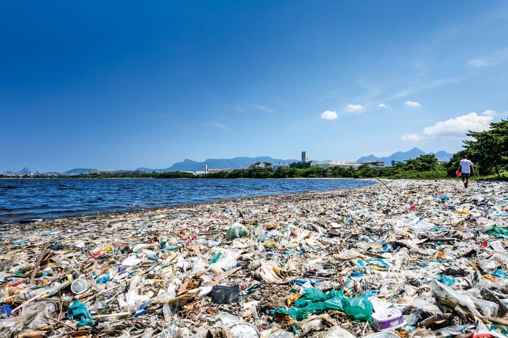 Vida marinha em risco: cariocas alertam sobre a poluição pelo plástico