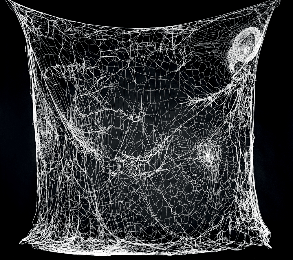 Obra de arte feita de fios, com palavras bordadas, se parece com teia de aranha