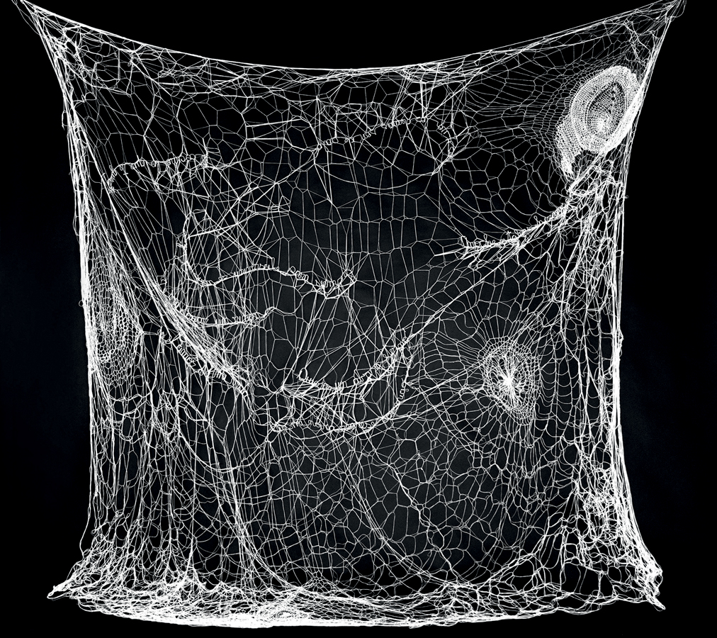 Unas Oi Futuro Fabiana Larrea_La Ultima Palabra de Amor #2 Obra de arte feita de fios, com palavras bordadas, se parece com teia de aranha