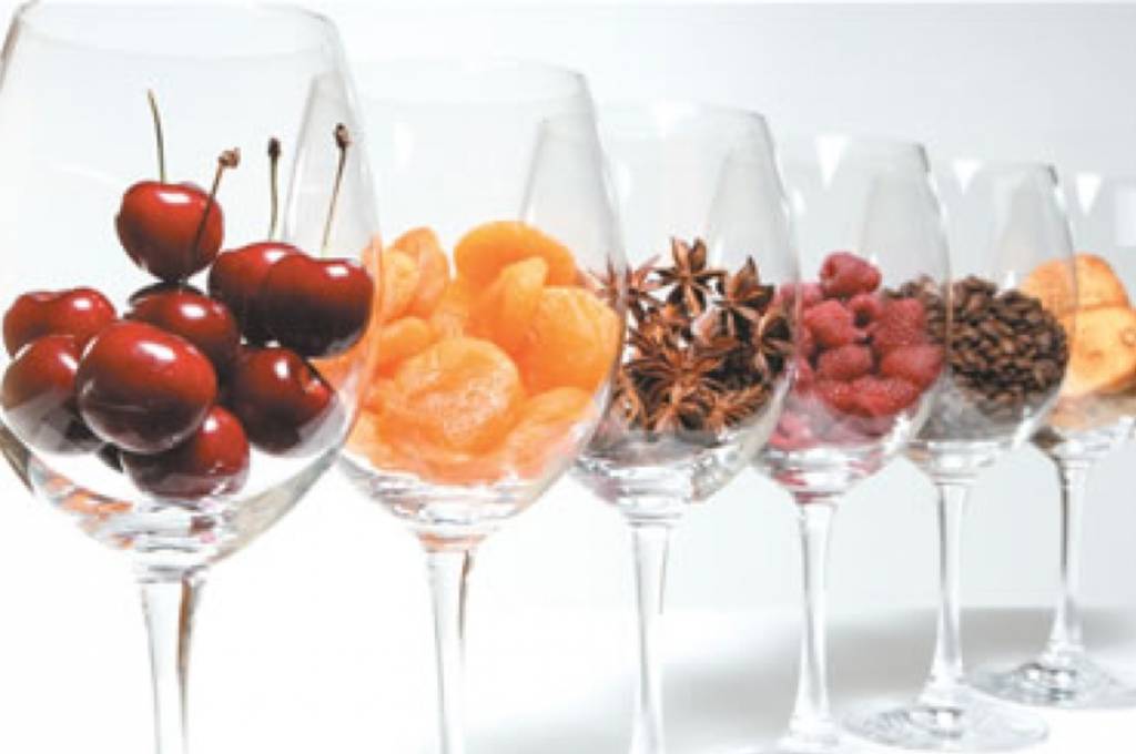 Os aromas do vinho