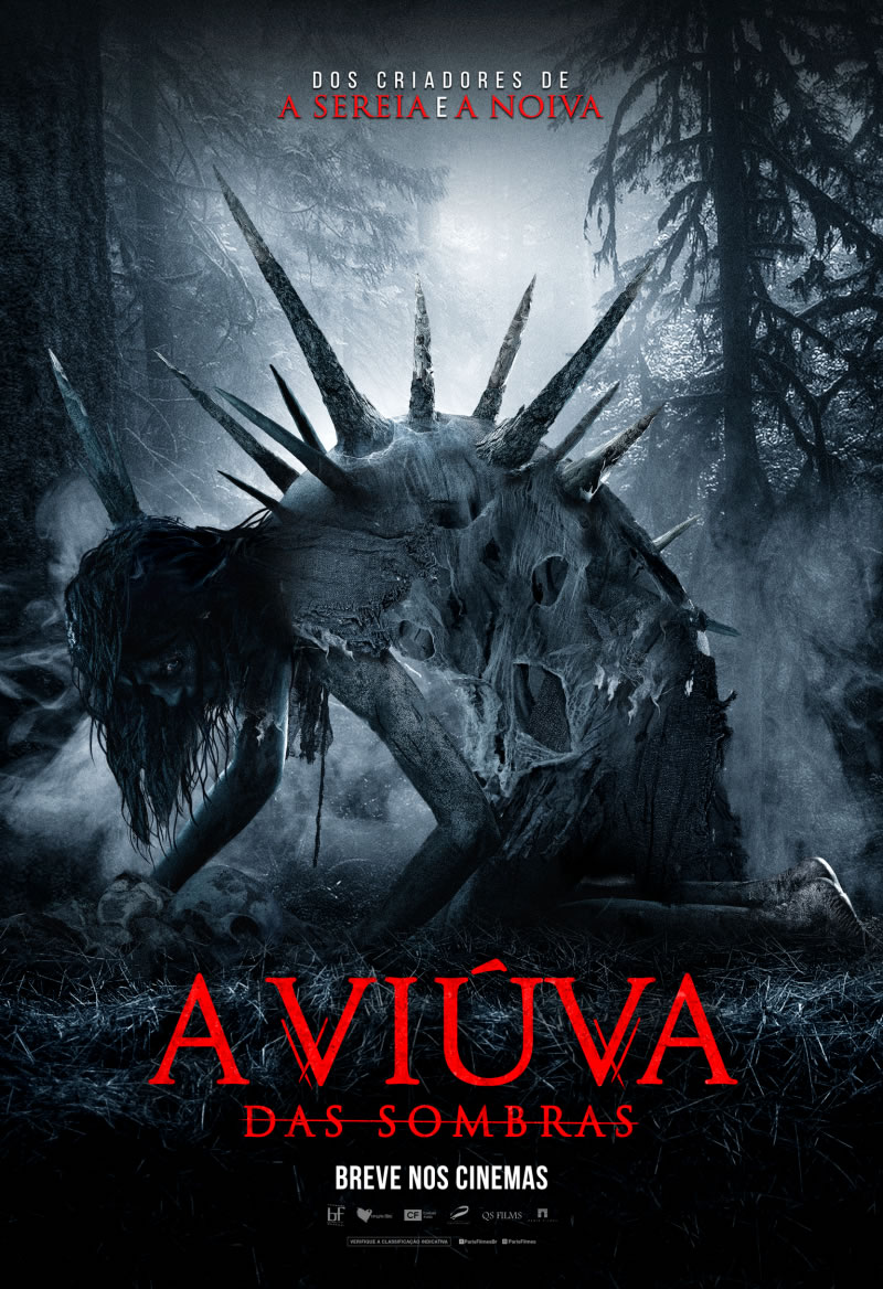 a-viuva-das-sombras cartaz