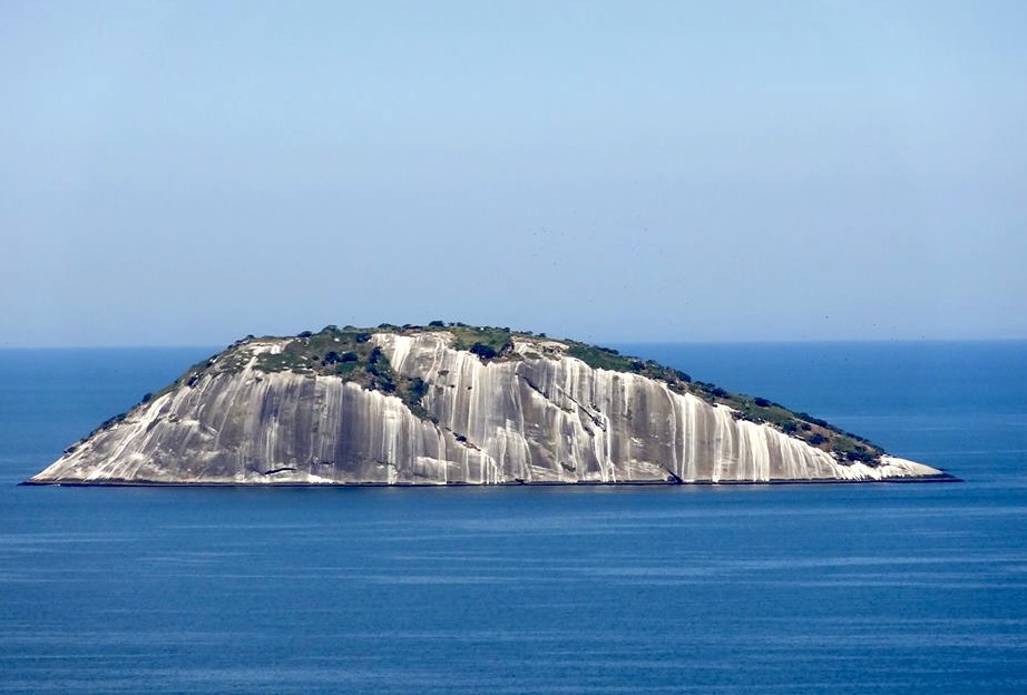 Cagarras como metáfora da esperança