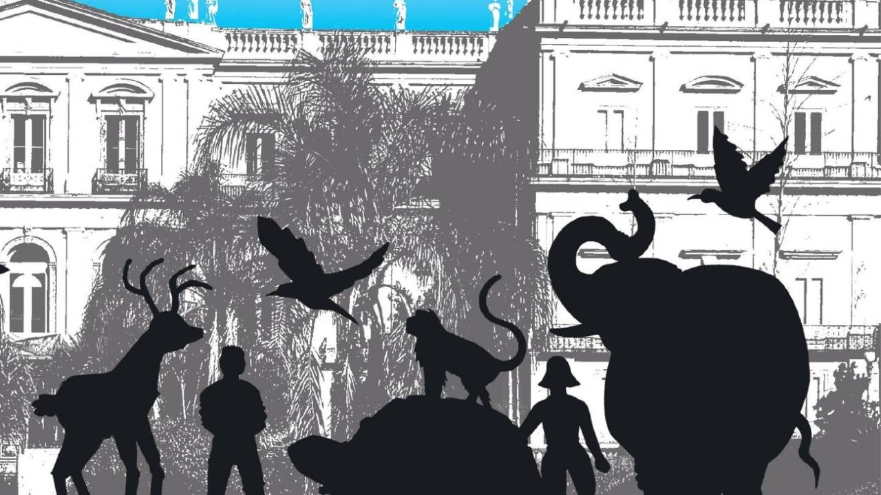 Desenho com a silhueta de animais em frente ao Museu Nacional