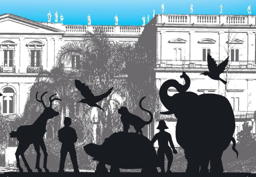 Macaco Tião inspira personagem de livro infantil sobre Museu Nacional