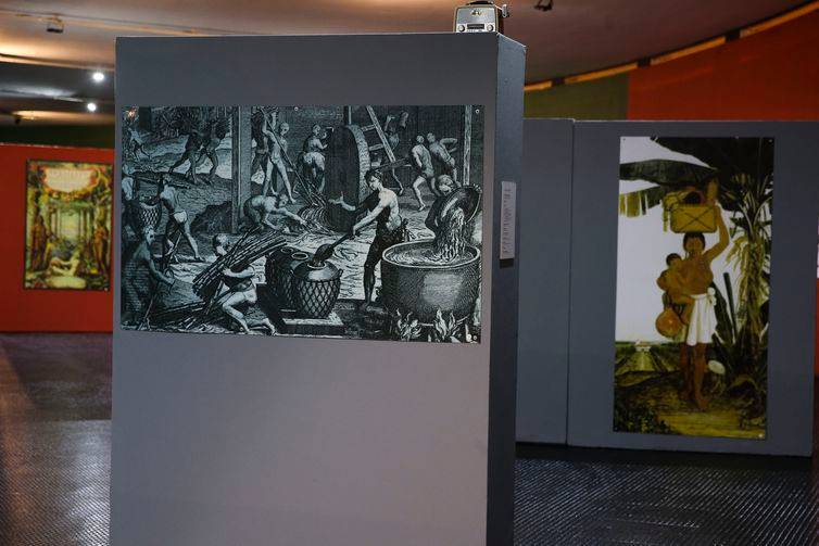 Museu Nacional realiza mostra virtual da coleção Os Primeiros Brasileiros