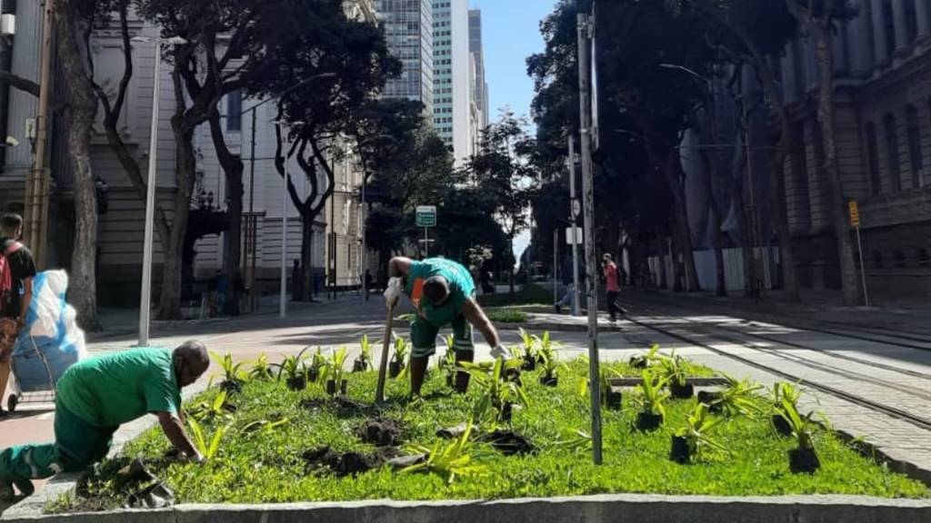 Mais de 1 000 mudas são cultivadas para revitalizar Avenida Rio Branco