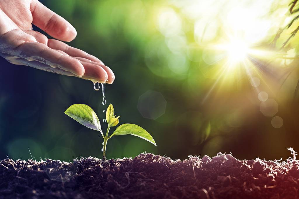 Ações locais mostram como é possível fazer um Rio mais verde e sustentável