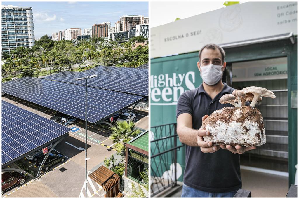 meio-ambiente Aproveitamento de energia solar, produção no próprio ponto de venda, entregas com transporte não poluente e logística de lixo zero são algumas das frentes abertas pelo supermercado Zona Sul. No dia 1º de junho, a marca inaugura a sua Central de Resíduos Recicláveis