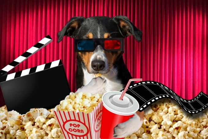 Cachorrada liberada: cinemas do Rio voltam a ter sessões pet friendly