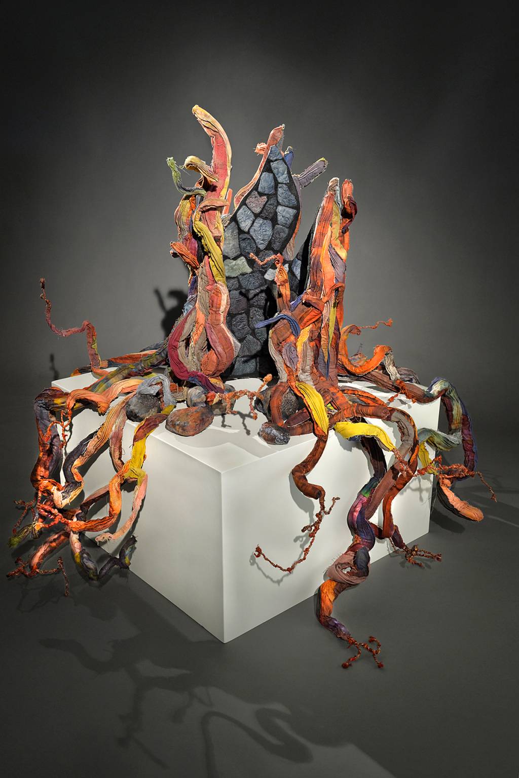 Methuselah – Terri Shin – USA – Escultura multicolorida, que lembra tentáculos, sobre um cubo branco