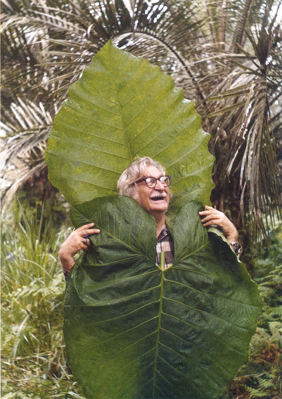 burle marx Paisagista Roberto Burle Marx entre plantas