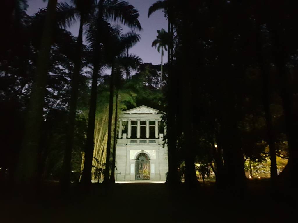 Corujas e pirilampos: Jardim Botânico volta a promover visitas noturnas