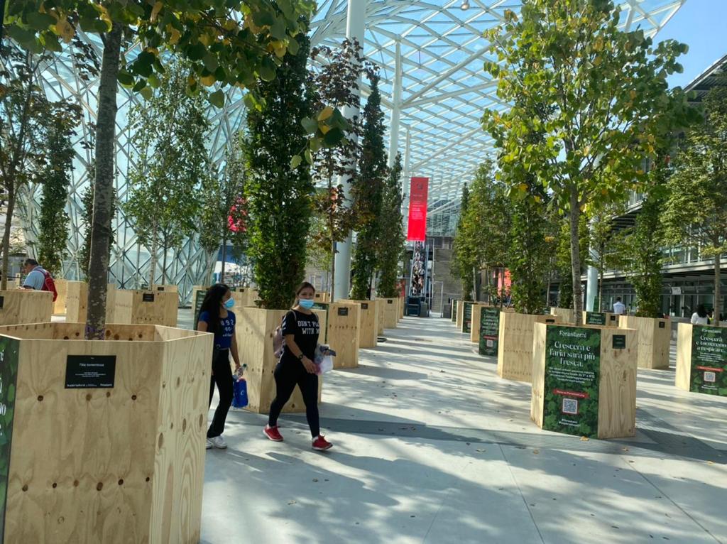 Salão de Móvel de Milão pretende plantar 3 milhões de árvores até 2023