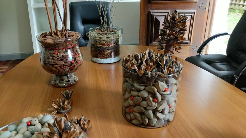 Jardim Para Levar Foto mostra arranjos feitos com elementos naturais