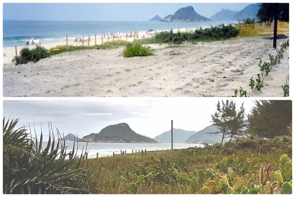 Muito além do gramado: Refloresta Rio recuperou vegetação de 186 Maracanãs