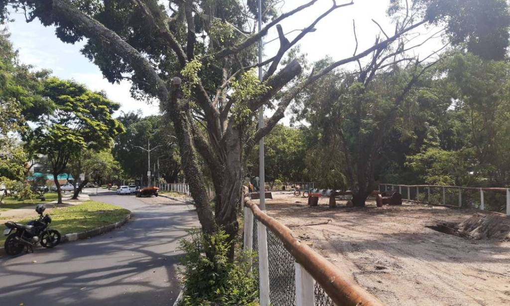 Novo parcão: parque na Barra abre área para cães com mais de 1000 metros quadrados