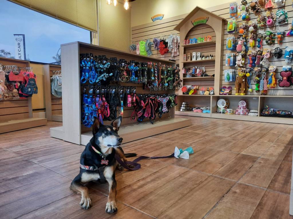 Bom para cachorro: padaria dedicada a pets abre dois endereços na Barra