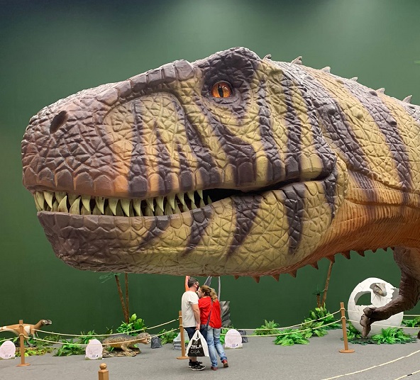 Foto mostra réplica enorme de uma cabeça de dinossauro