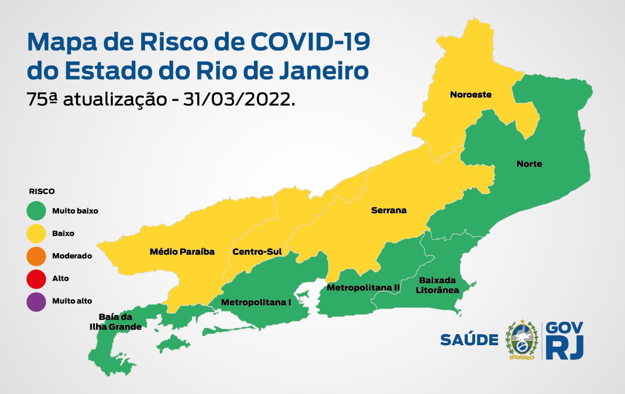 Foto mostra bandeira do estado do Rio pintada das cores verdes e amarela