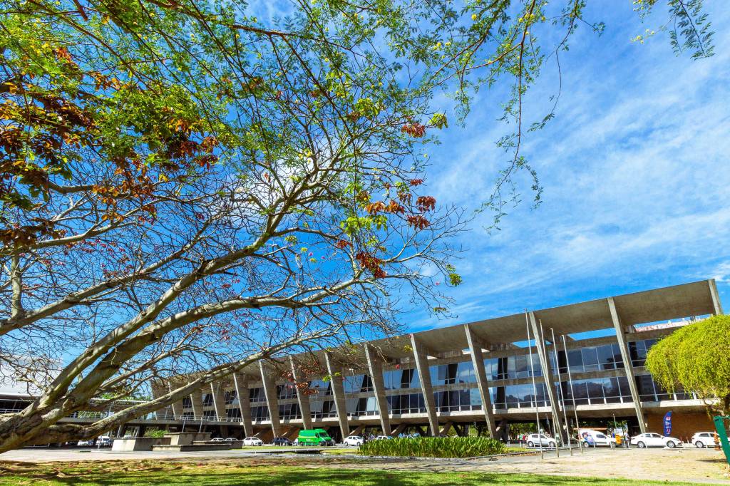 É de graça: Super Sábado no MAM terá mostra, oficinas e feira gastronômica