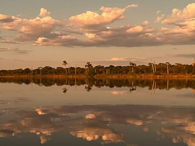 Reflexos: beleza multiplicada pelo espelho d'água