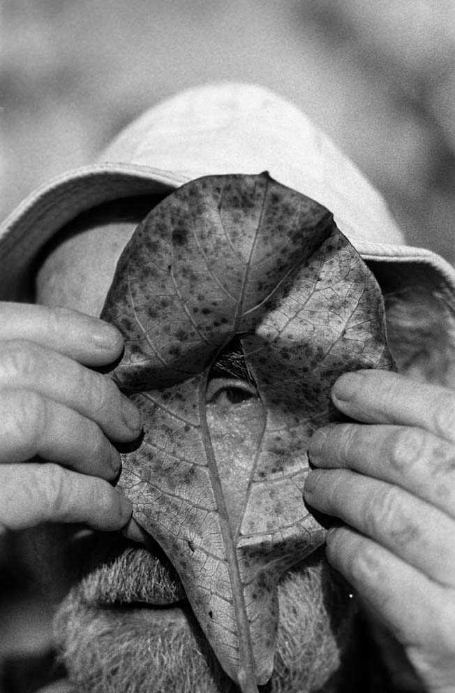 Krajcberg-49_crédito Luiz Garrido Frans Krajcberg olha por um buraco em uma folha de árvore.