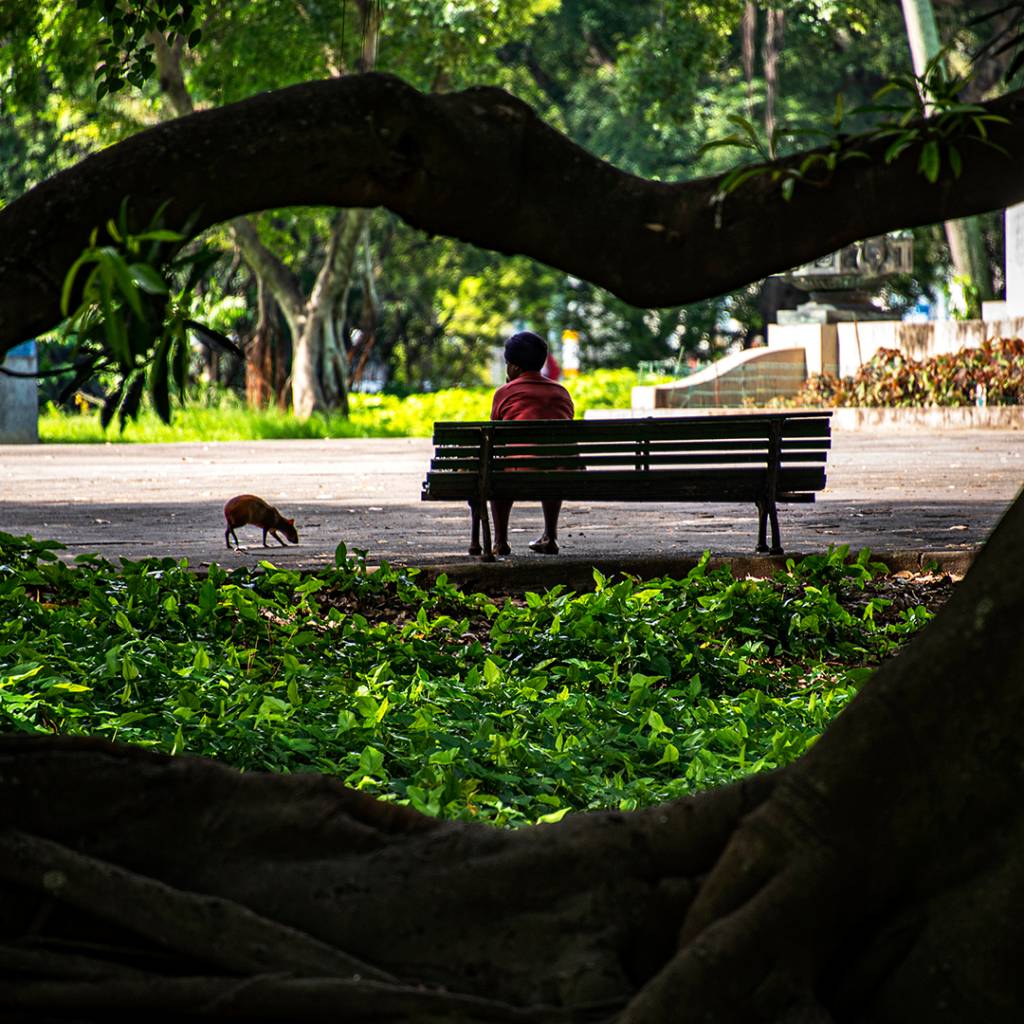 Luis Carlos Teixeira Mendes Homem é fotografado em banco da Praça da República (Campo de Santanna)