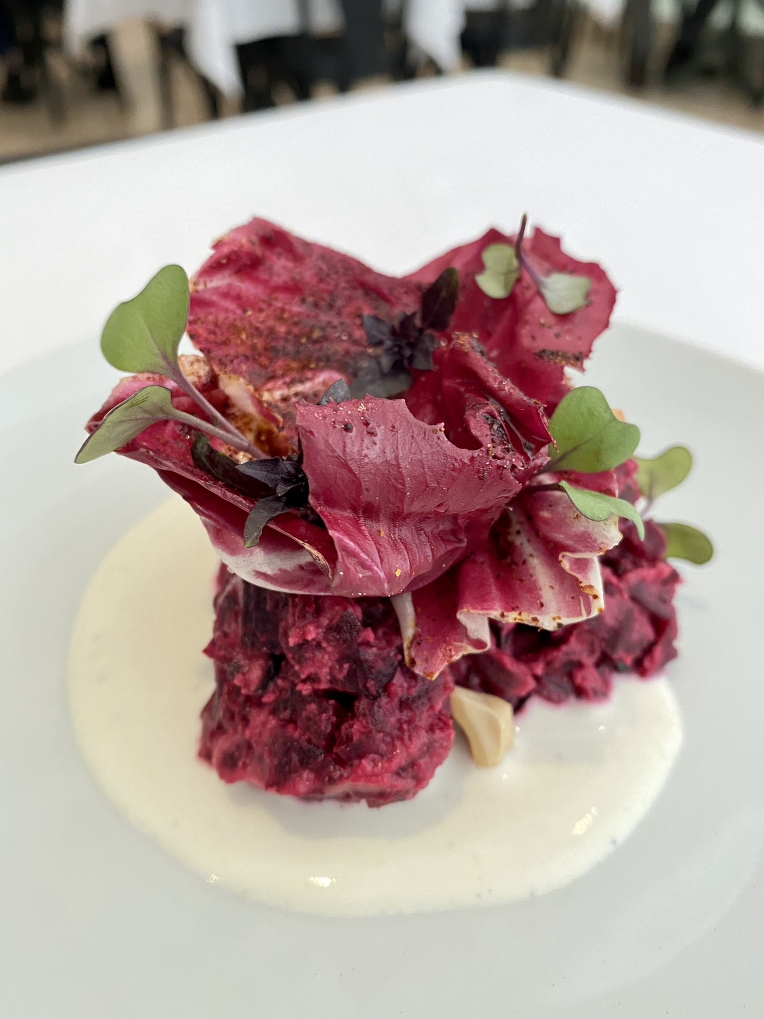 Lilia Caf&eacute;: o tartare de beterraba do chef Rodrigo Trist&atilde;o abre os trabalhos