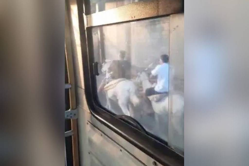 O Rio não é para amadores: jovens usam cavalos para perseguir ônibus
