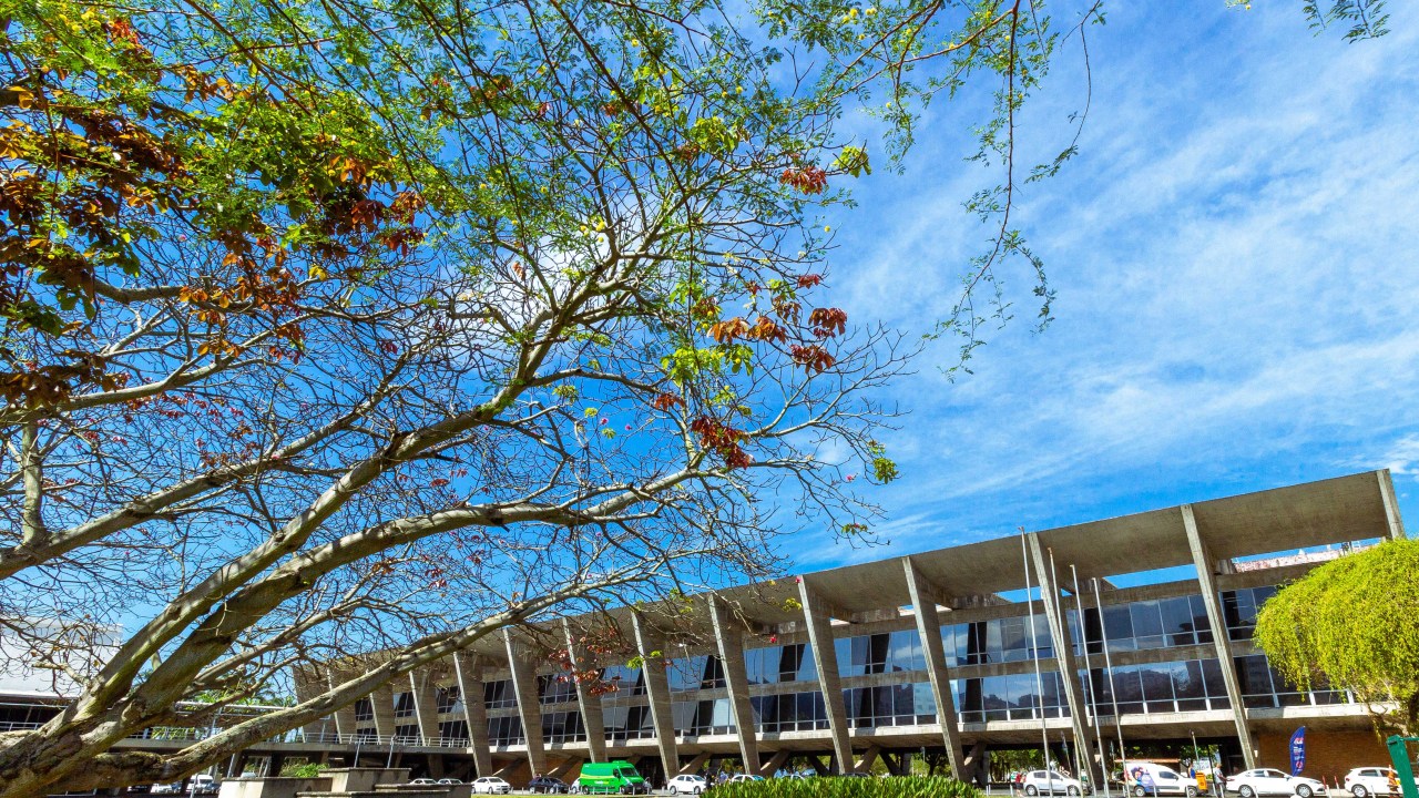 Fachada do MAM, com os galhos de uma árvore em primeiro plano, o gramado na frente do espaço e o céu azul com nuvens