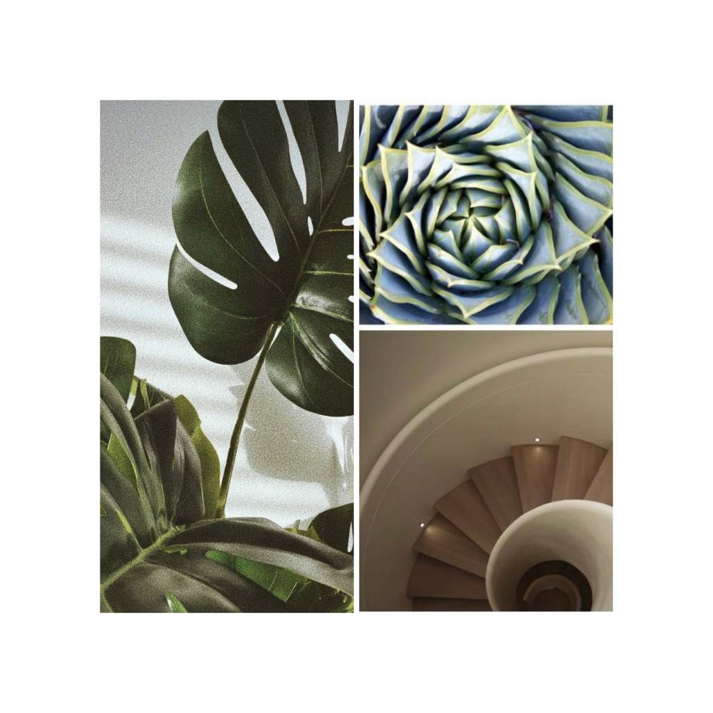 Arquitetura biofílica: a tendência que nos fez voltar às nossas origens