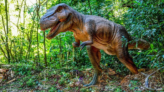 Uma viagem pelo maior parque de dinossauros do mundo, em Miguel Pereira