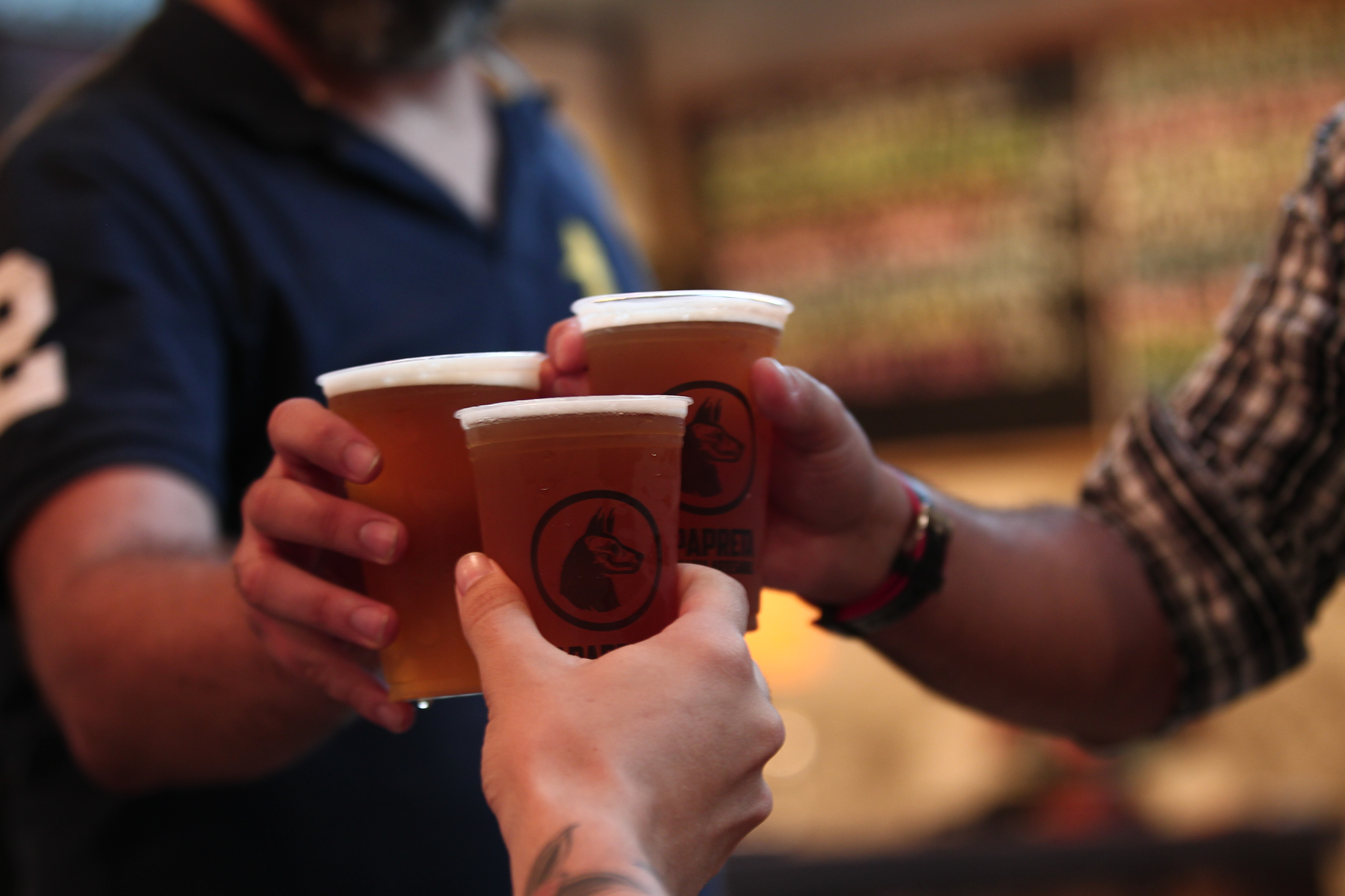 foto mostra tr&ecirc;s copos de cervejas artesanais