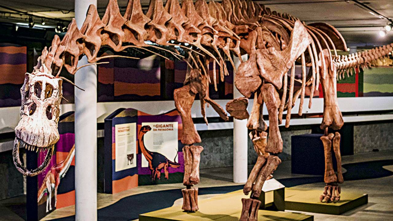 Expodinos — O Maior Dinossauro do Mundo