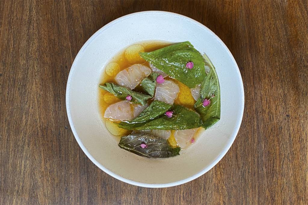 Lilia_Crudo-com-caldo-de-galinha_Joca-Vidal-(1)-(1).jpg Lilia