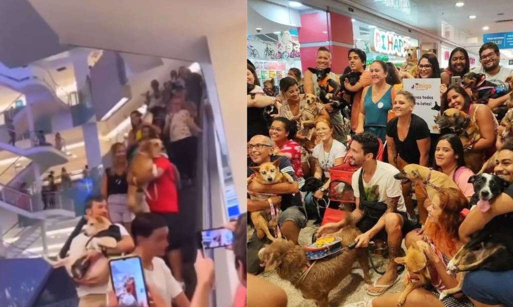 Viralizou: mais de 300 cães vira-lata ‘invadem’ shopping em ação solidária