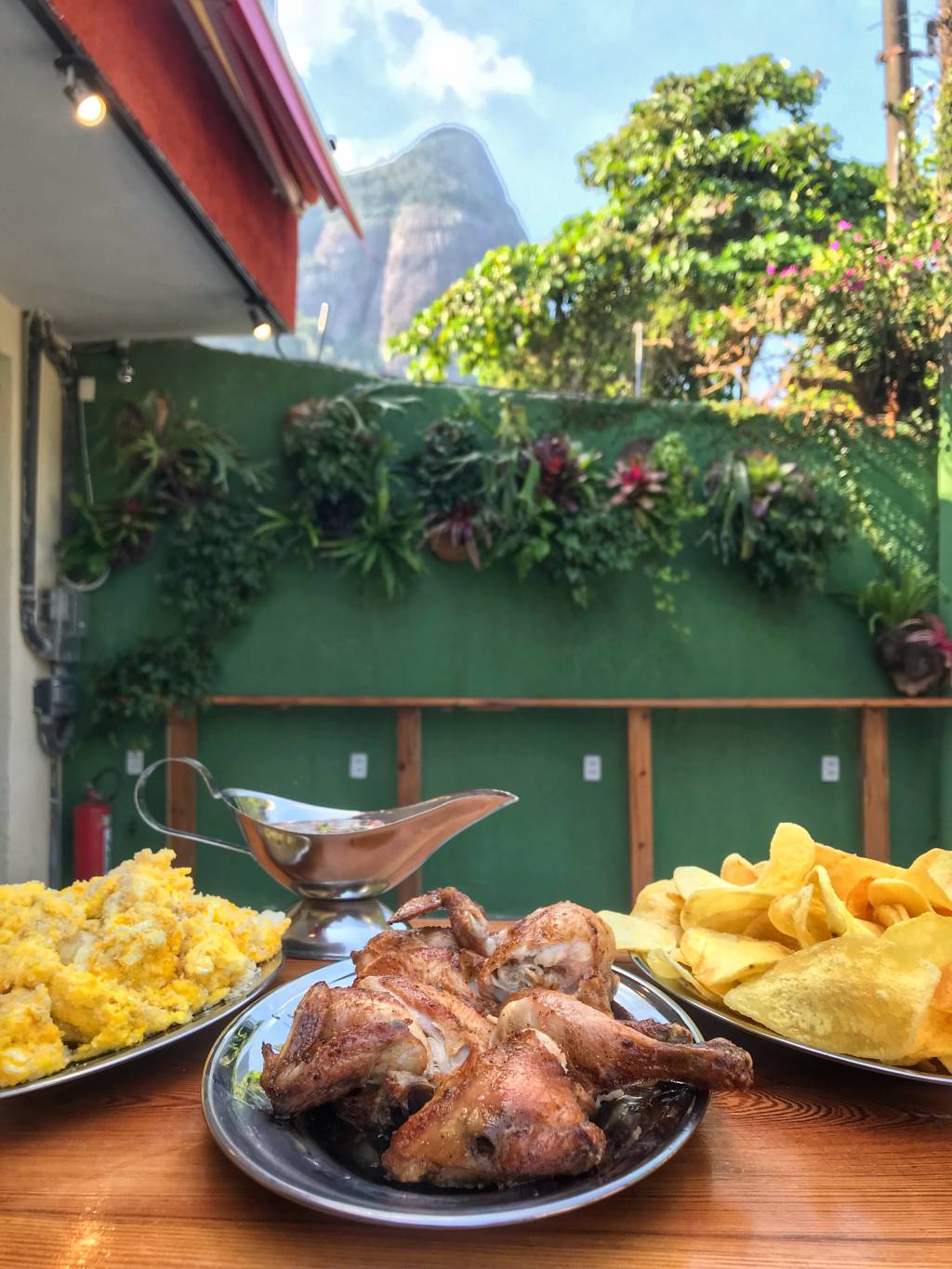 sats barra Sat's: tons de verde e a Pedra da Gávea ao fundo na Barrinha