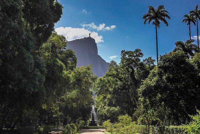 Jardim Botânico celebra 215 anos com espaço dedicado a árvores frutíferas