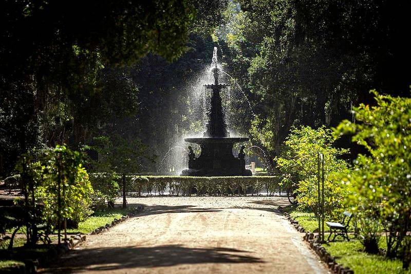 Jardim Botânico promove visitas guiadas gratuitas pela Trilha Histórica