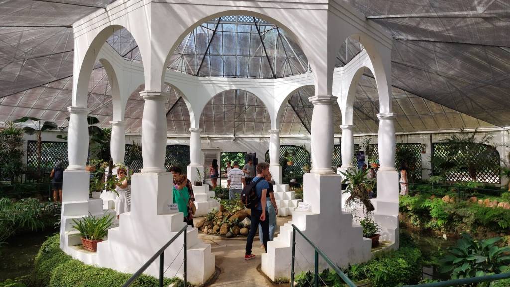 Passeio florido: orquidário do Jardim Botânico ganha tour em cinco idiomas